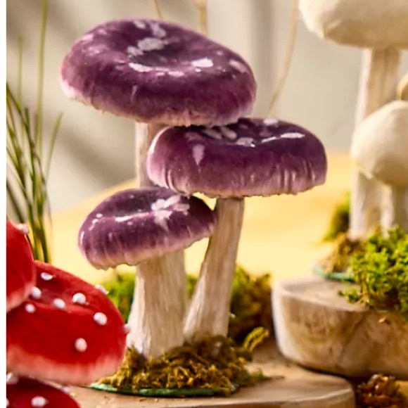 💎Purple Velvet Mushroom Patch - Picture 2 of 5